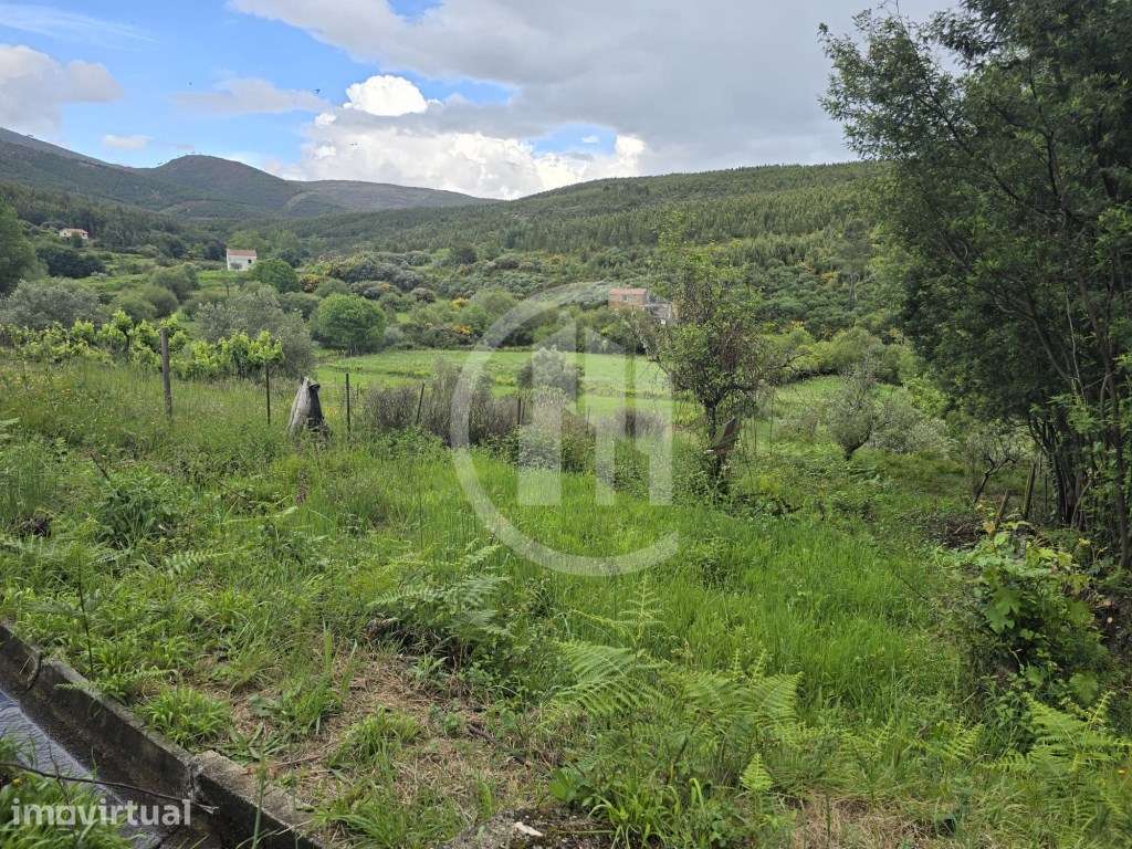 Terreno agrícola nas Cortes do Meio - Covilhã - Grande imagem: 2/4