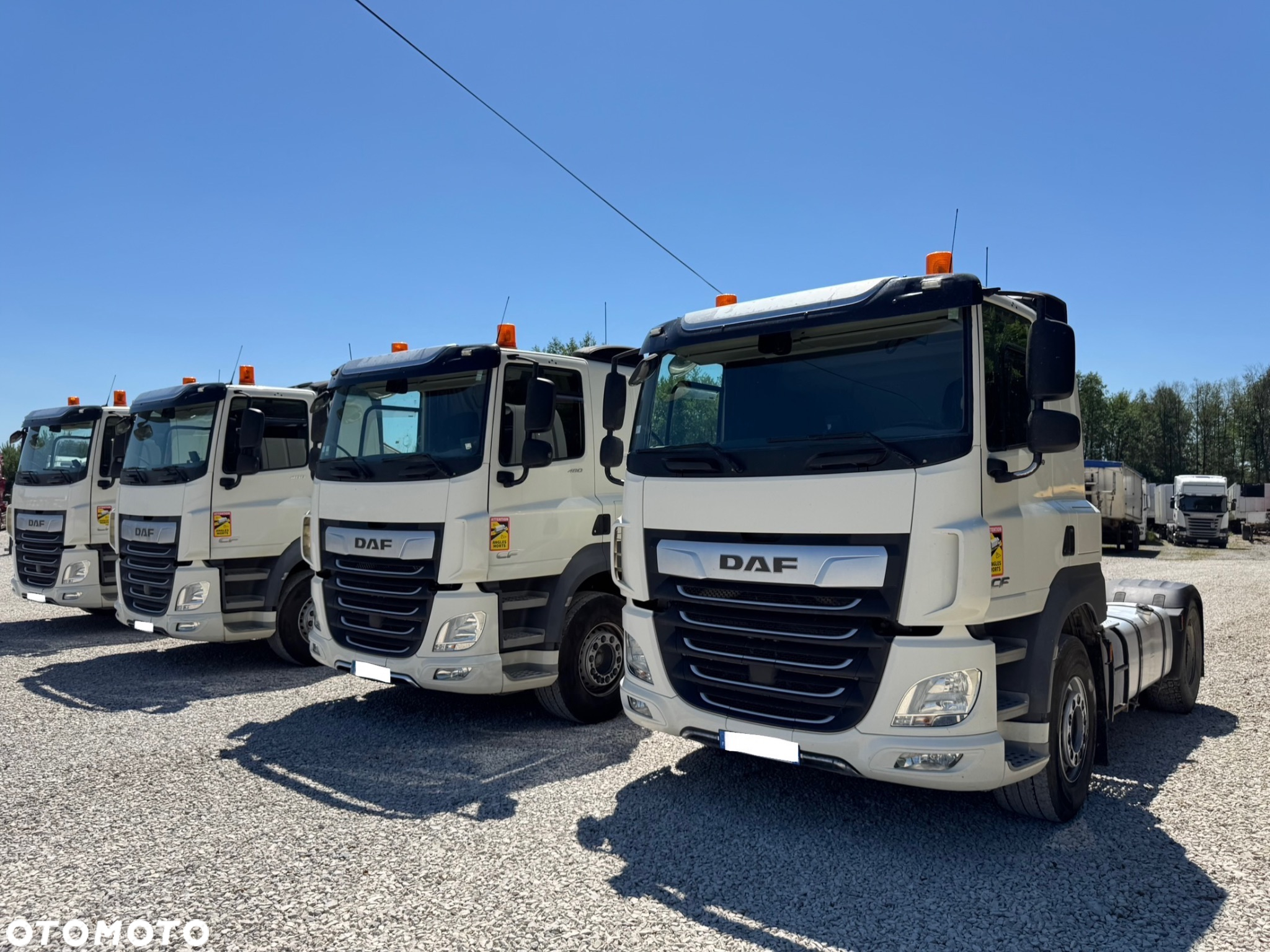 DAF - 13