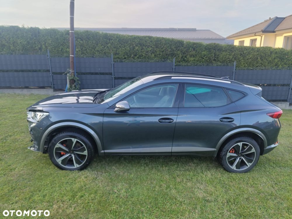 Cupra Formentor 2.0 TSI 4Drive DSG - 19