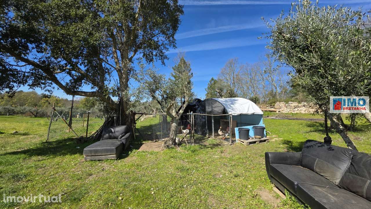 Quinta com 3500m2 em Póvoa de Rio de Moinhos - Grande imagem: 5/18