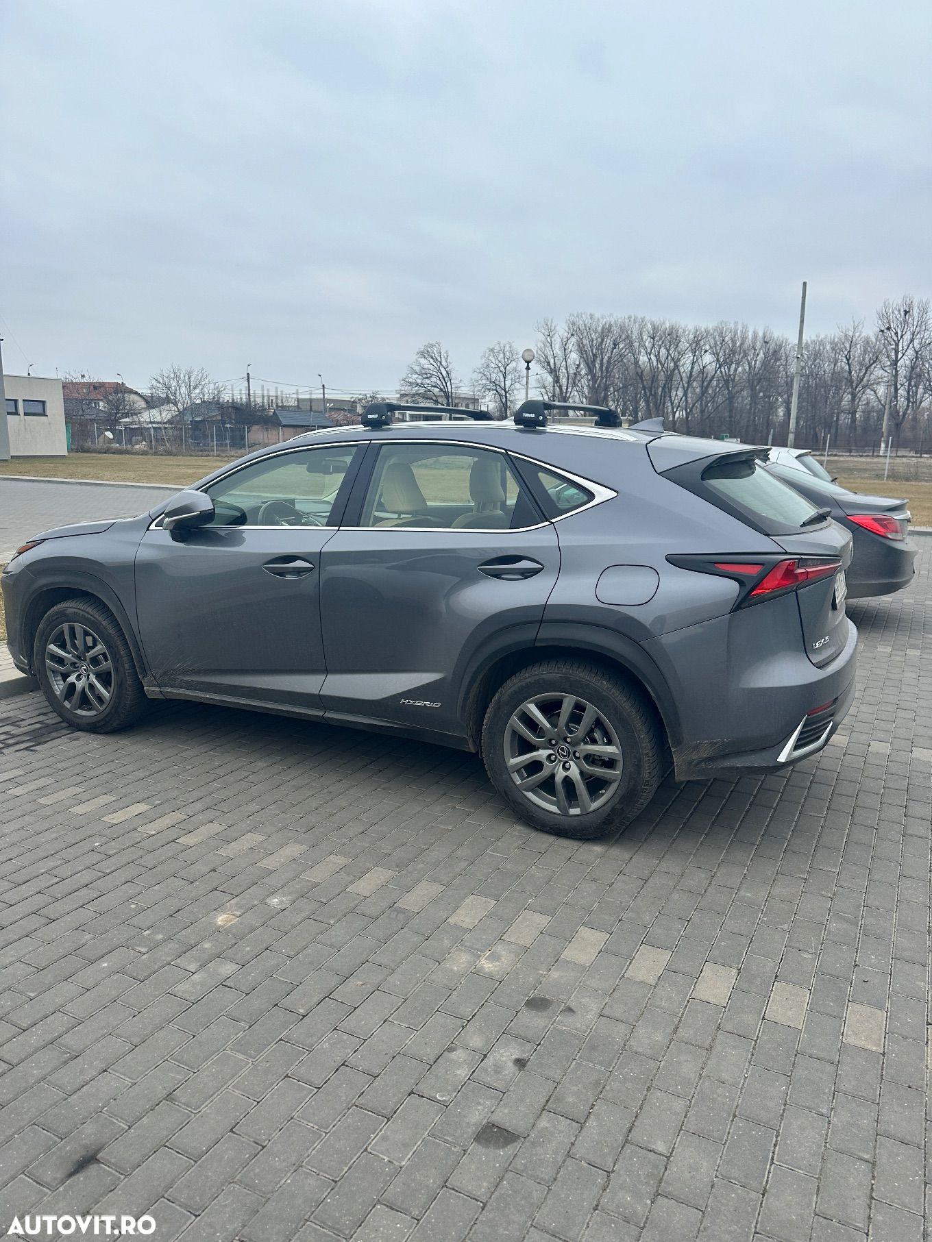 Lexus Seria NX 300h AWD Luxury - 1