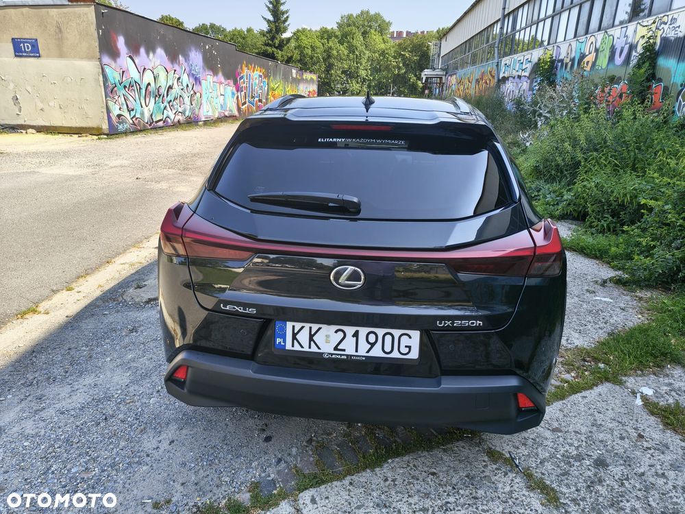 Lexus UX 250h GPF Business 2WD - 4