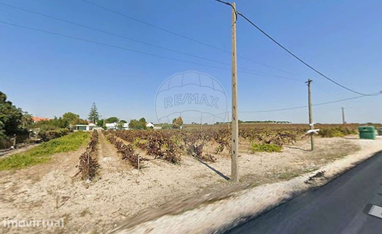 Terreno  para venda - Grande imagem: 3/4