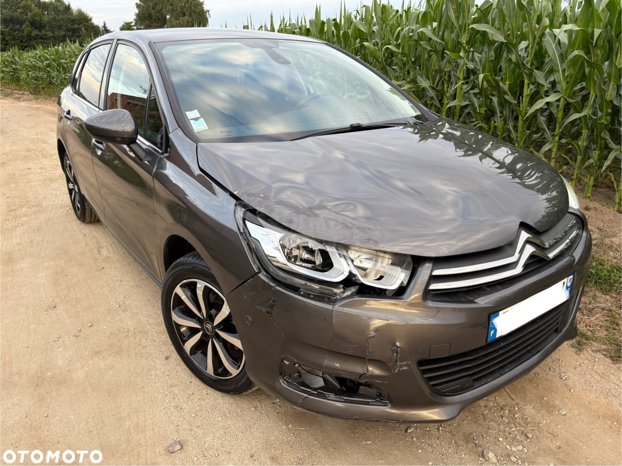 Citroën C4 BlueHDi 120 Stop&Start Shine - 5