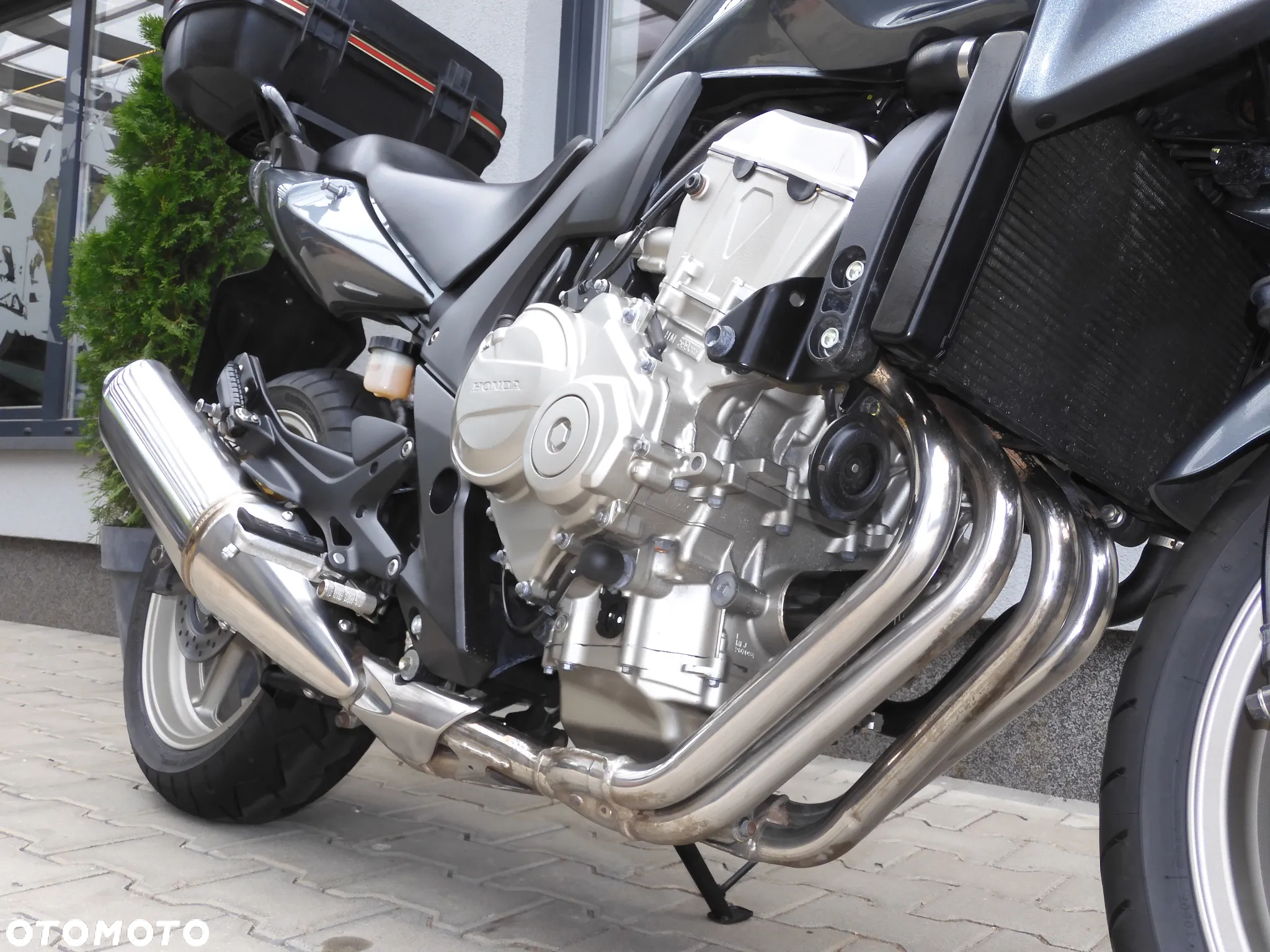 Honda CBF - 5