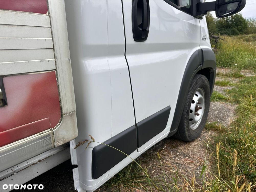 Fiat Ducato Maxi KONTENER+ CHŁODNIA THERMO KING 3.0 Multijet 180kM, manual 2015 rok WEBASTO - 16