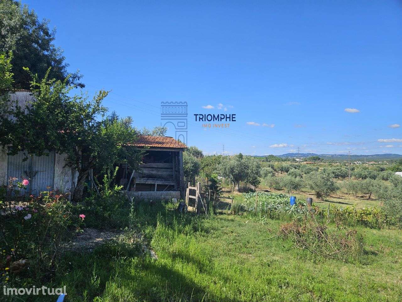 Quinta terreno rústico, com parcela urbana Tomar - Grande imagem: 2/16