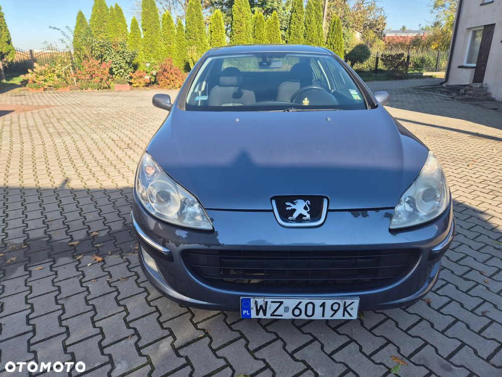 Peugeot 407 - 1