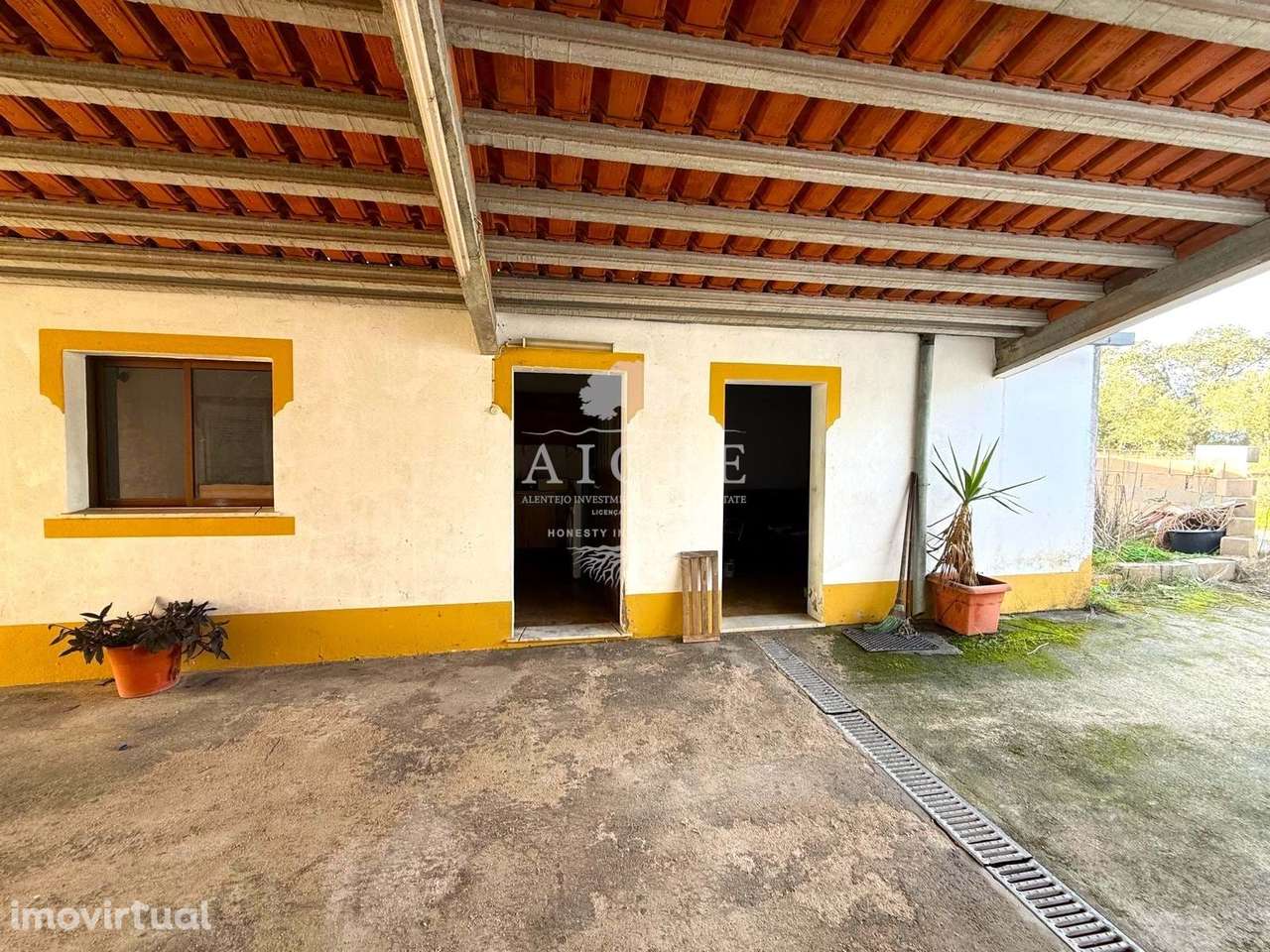 Quinta com 1,025 Hectares – Azaruja, Alentejo | Excelente Oportunidade - Grande imagem: 3/39