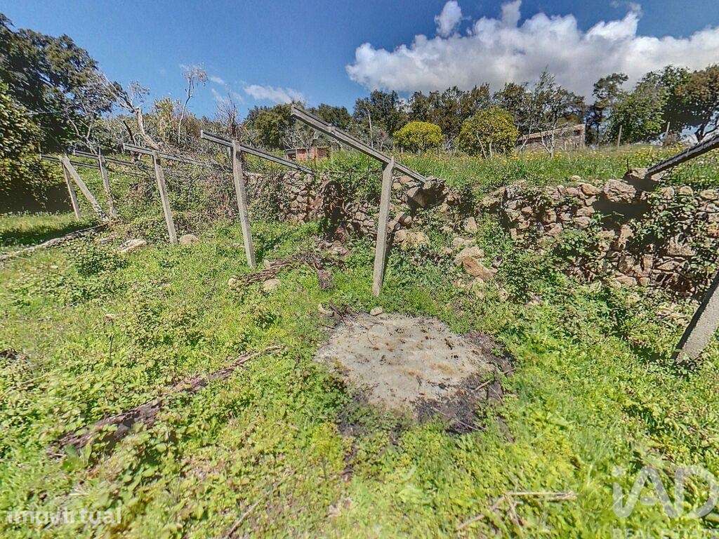 Terreno Agrícola em Pedrógão Pequeno - Grande imagem: 2/14