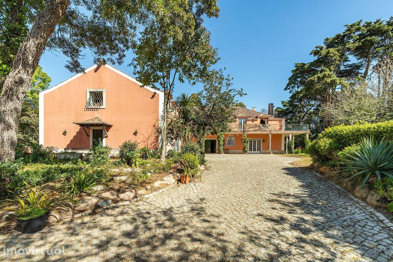 PALÁCIO - Quinta e Casa Rústica em S. Maria e S. Miguel, S. Martinho, - Grande imagem: 3/16