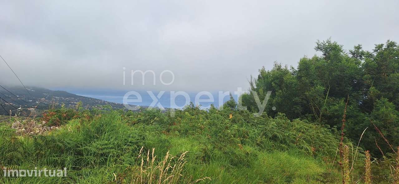 Terreno para construção em Lombada, Santa Cruz - Grande imagem: 4/15