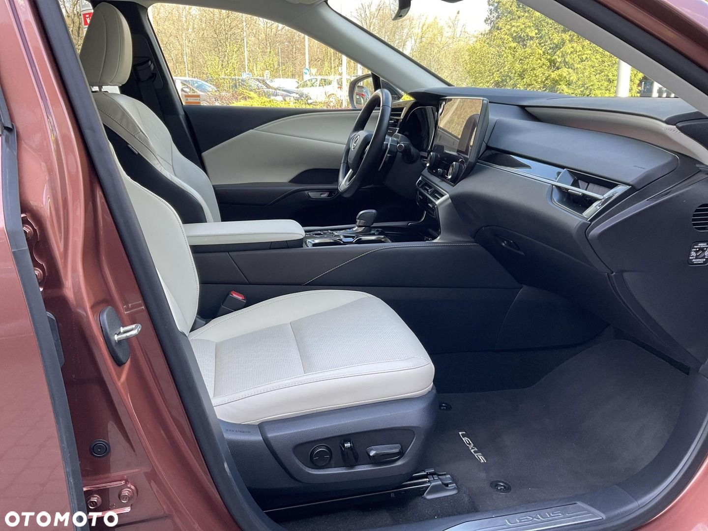 Lexus RX 350h F Sport Design - 9