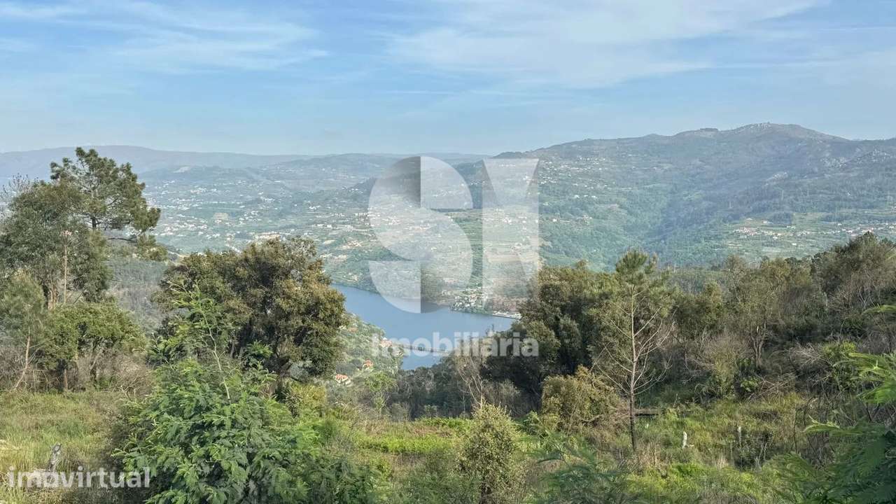 Terreno com PIP aprovado e vista Douro | 19.376 m² | Baião - Grande imagem: 4/14