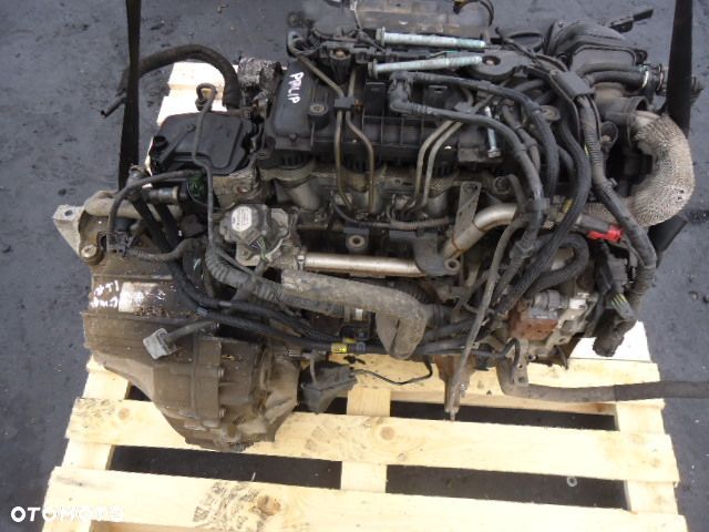 Silnik Kompletny Focus G8DA G8DB 1.6 TDCI 110KM - 1