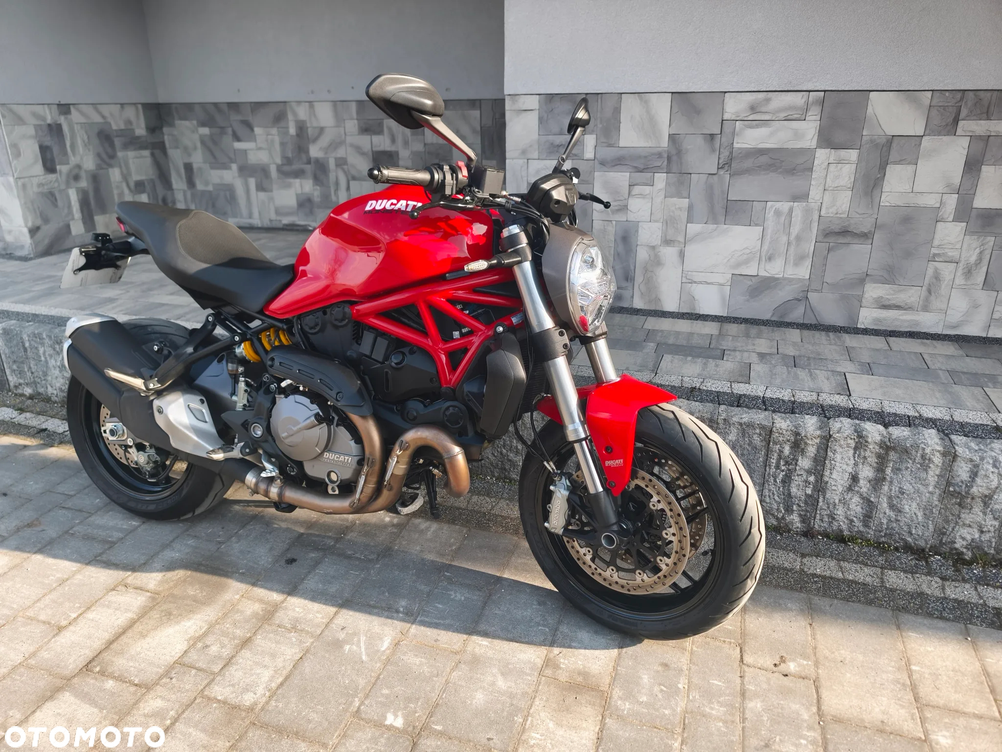 Ducati Monster - 3