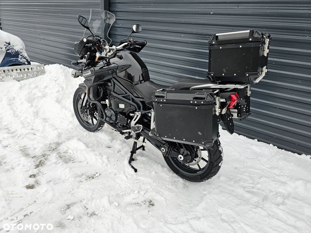 Triumph Tiger - 6