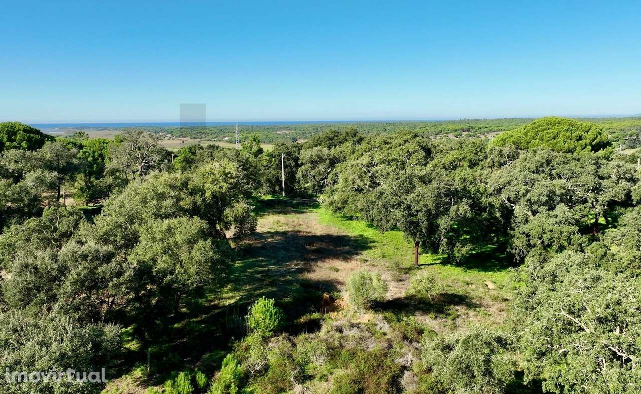 Monte Alto do Zambujal — Exclusividade e potencial junto a Melides - Grande imagem: 4/21