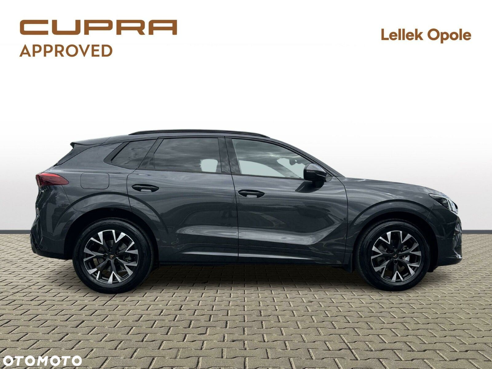 Cupra Terramar - 6