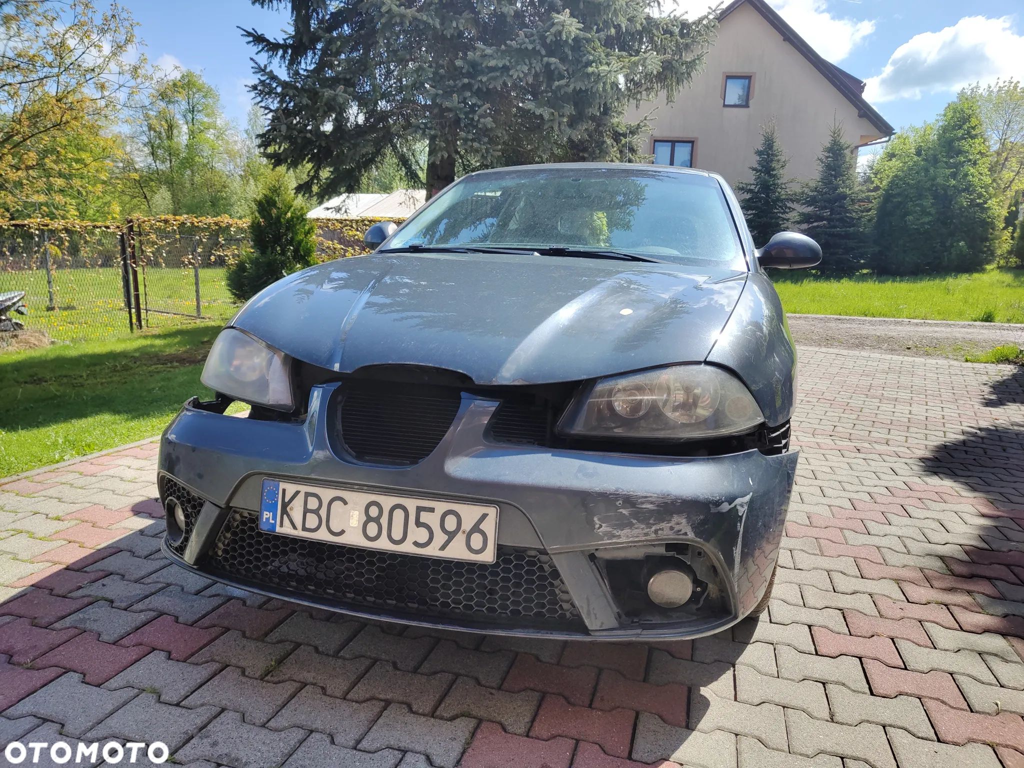 Seat Ibiza - 1