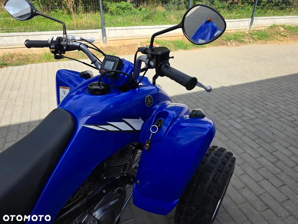 Yamaha Raptor - 14