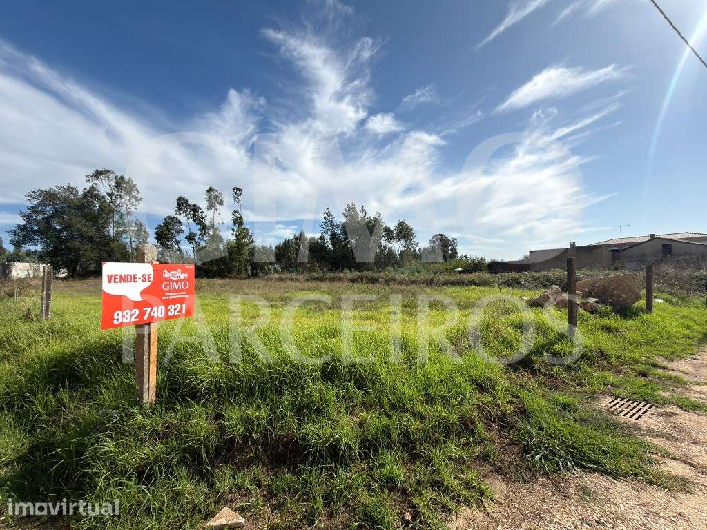 TERRENO URBANO EM ANADIA - Grande imagem: 4/15