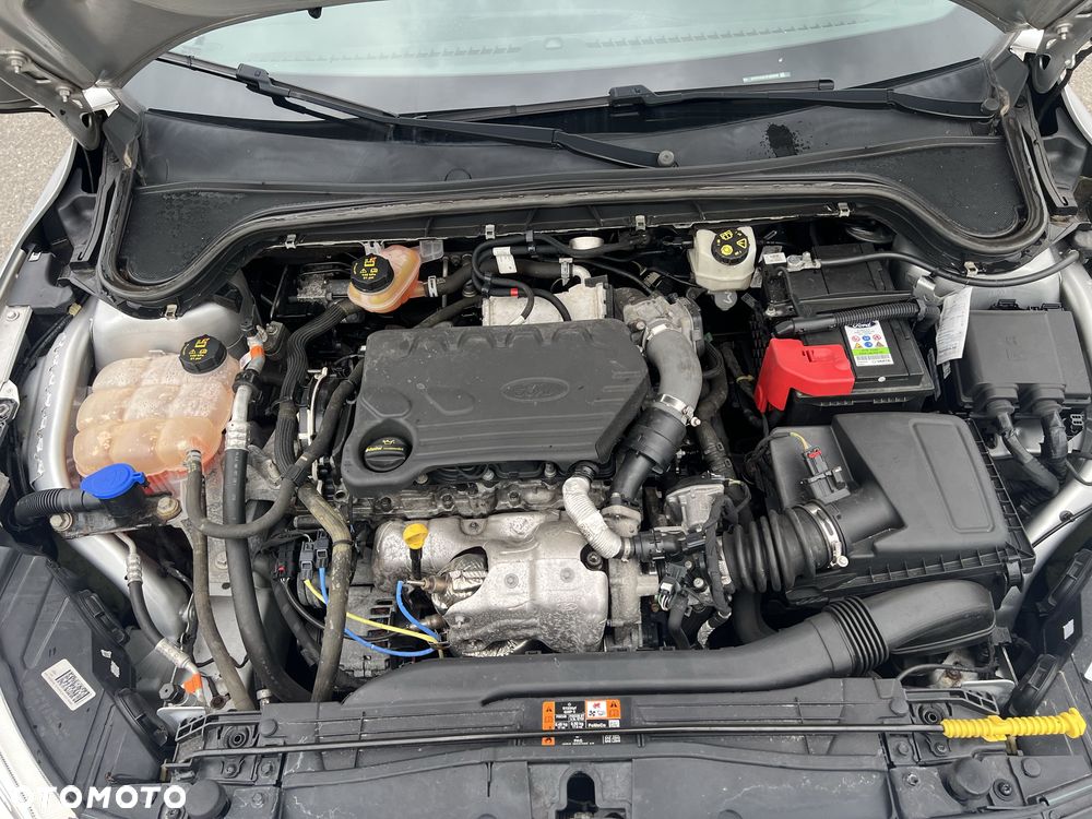 Ford Focus - 7