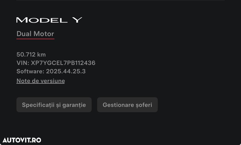 Tesla Model Y Performance - 21