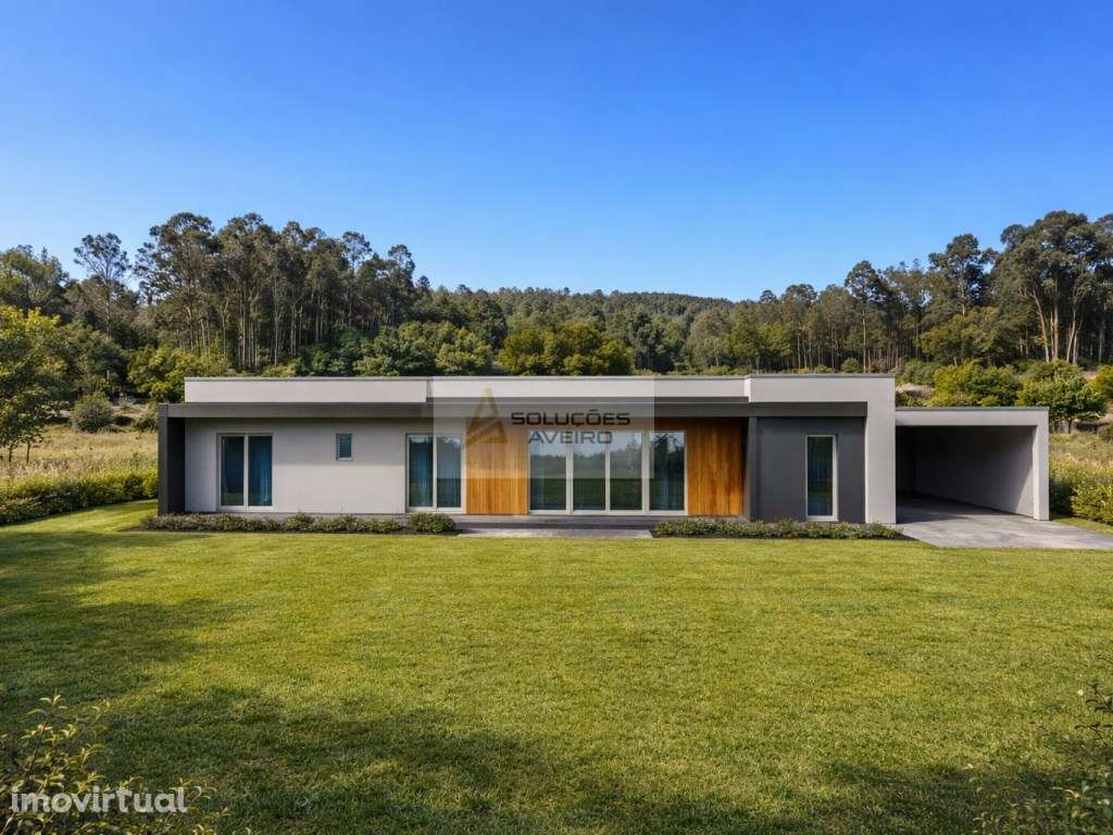 Moradia T3 Isolada e Térrea em Macinhata do Vouga - Grande imagem: 4/13