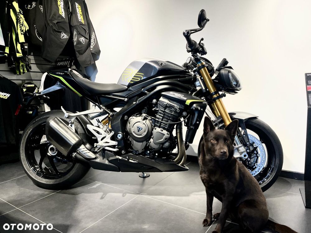 Triumph Speed Triple - 2