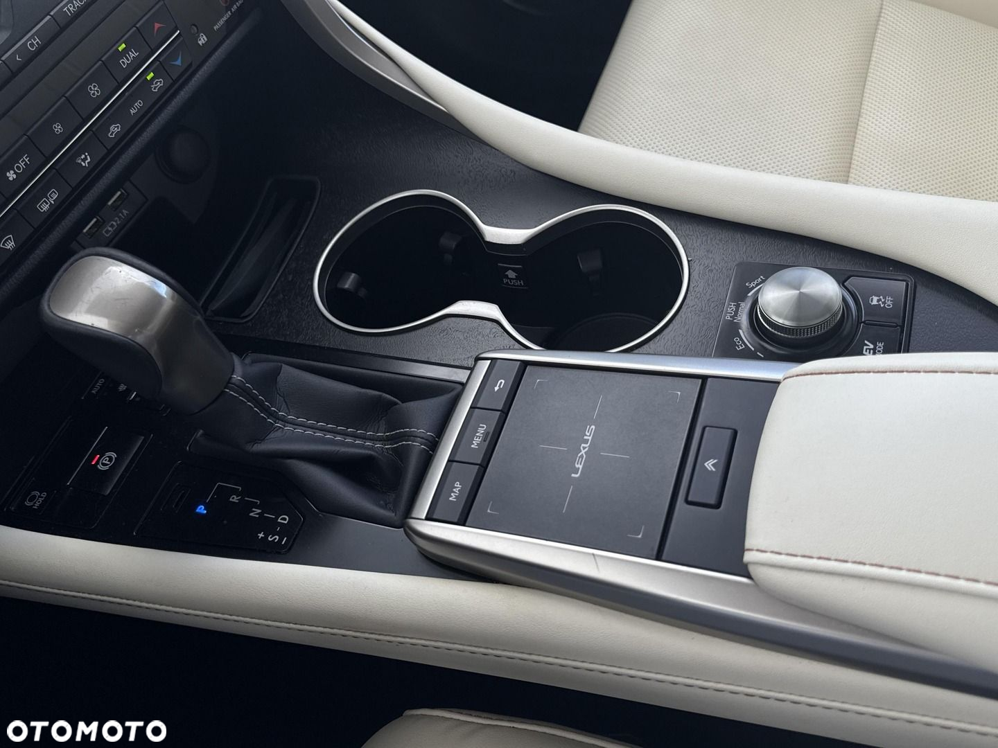 Lexus RX 450h F-Impression - 18