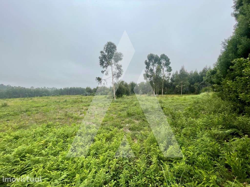 Terreno para construção em Rio Meão - Santa Maria da Feira - Grande imagem: 3/12