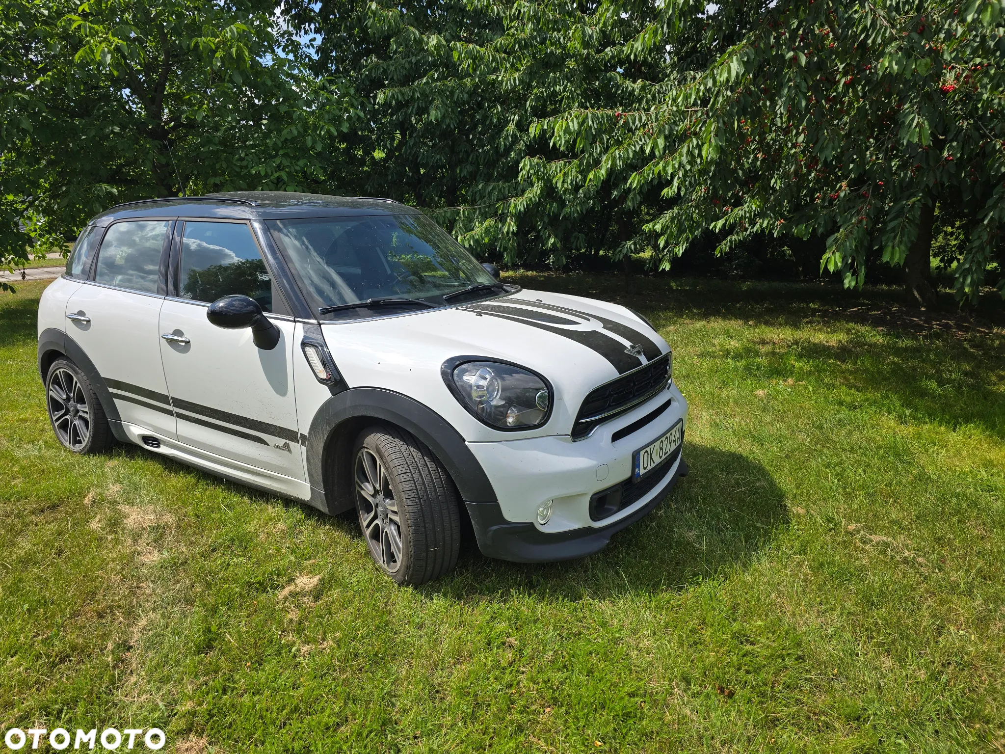 MINI Countryman - 6