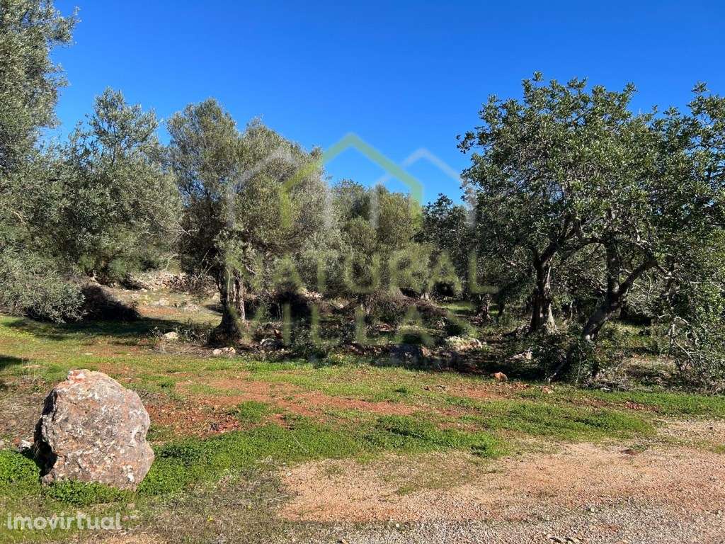 Terreno Rústico de Vistas Panorâmicas - Alte - Grande imagem: 5/5