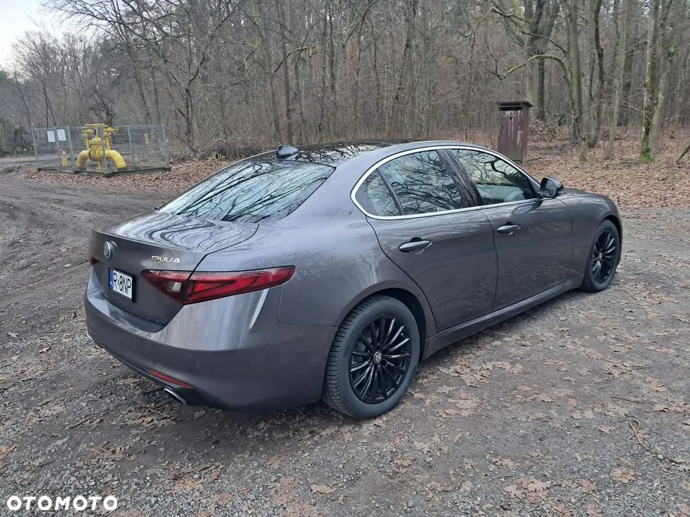 Alfa Romeo Giulia - 5