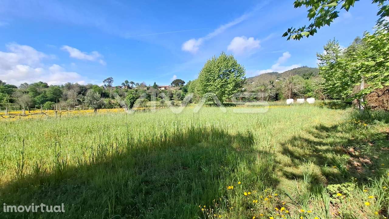 Terreno Rústico  Venda em Dornelas,Amares - Grande imagem: 4/23