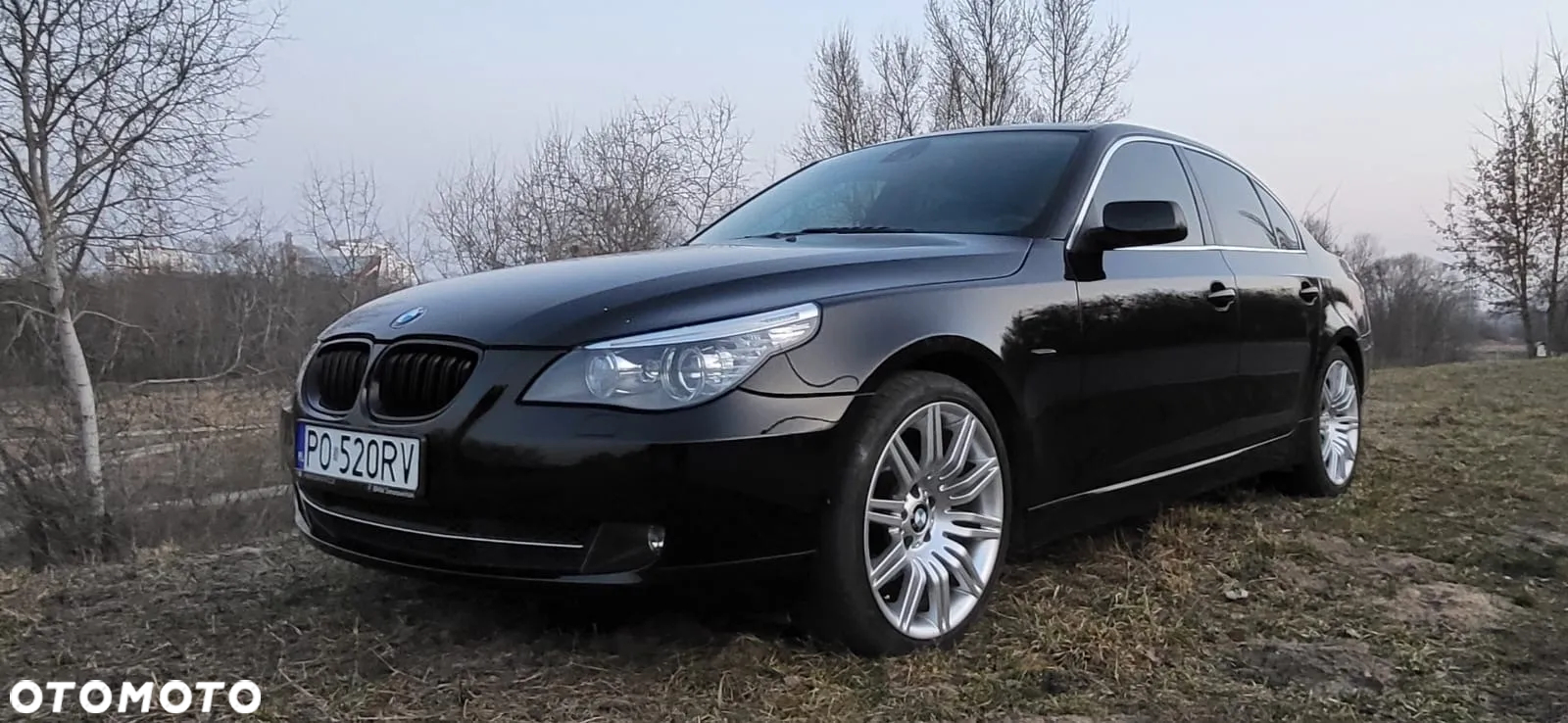 BMW Seria 5 520d - 4