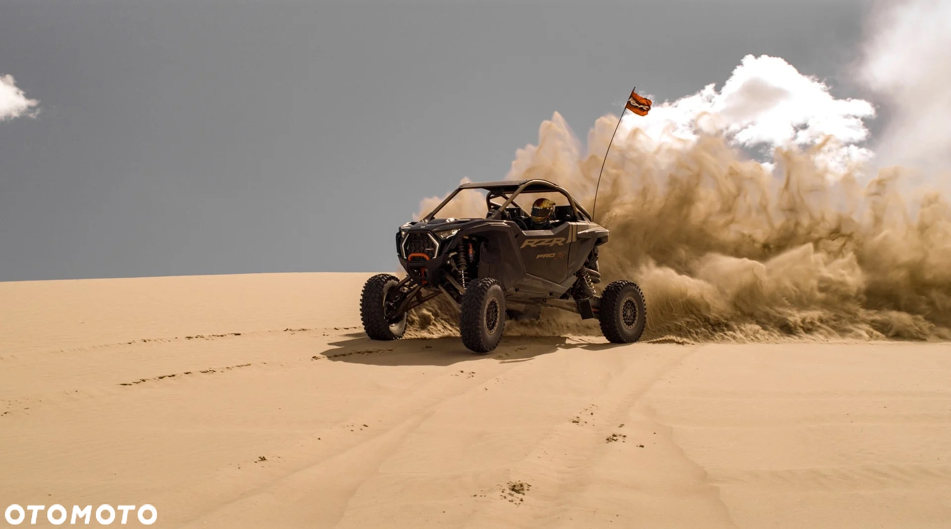 Polaris RZR - 11