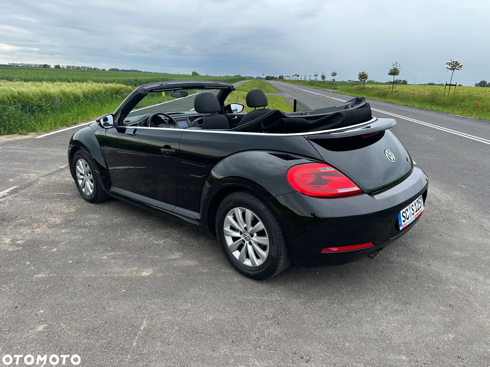Volkswagen Beetle - 9