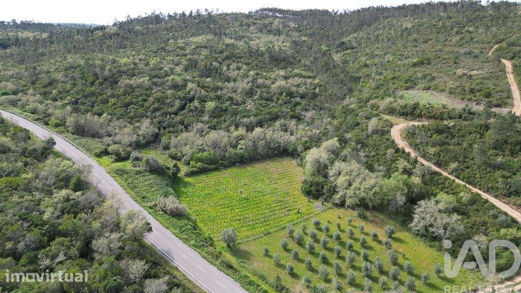 Terreno Agrícola em Podentes - Grande imagem: 2/18