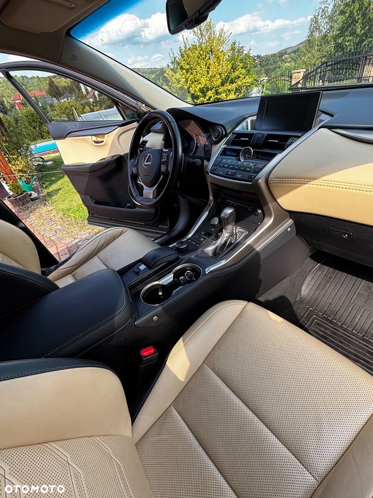 Lexus NX - 15