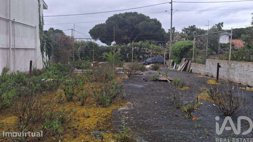 Terreno para construção em Sesimbra (Castelo) - Grande imagem: 4/9