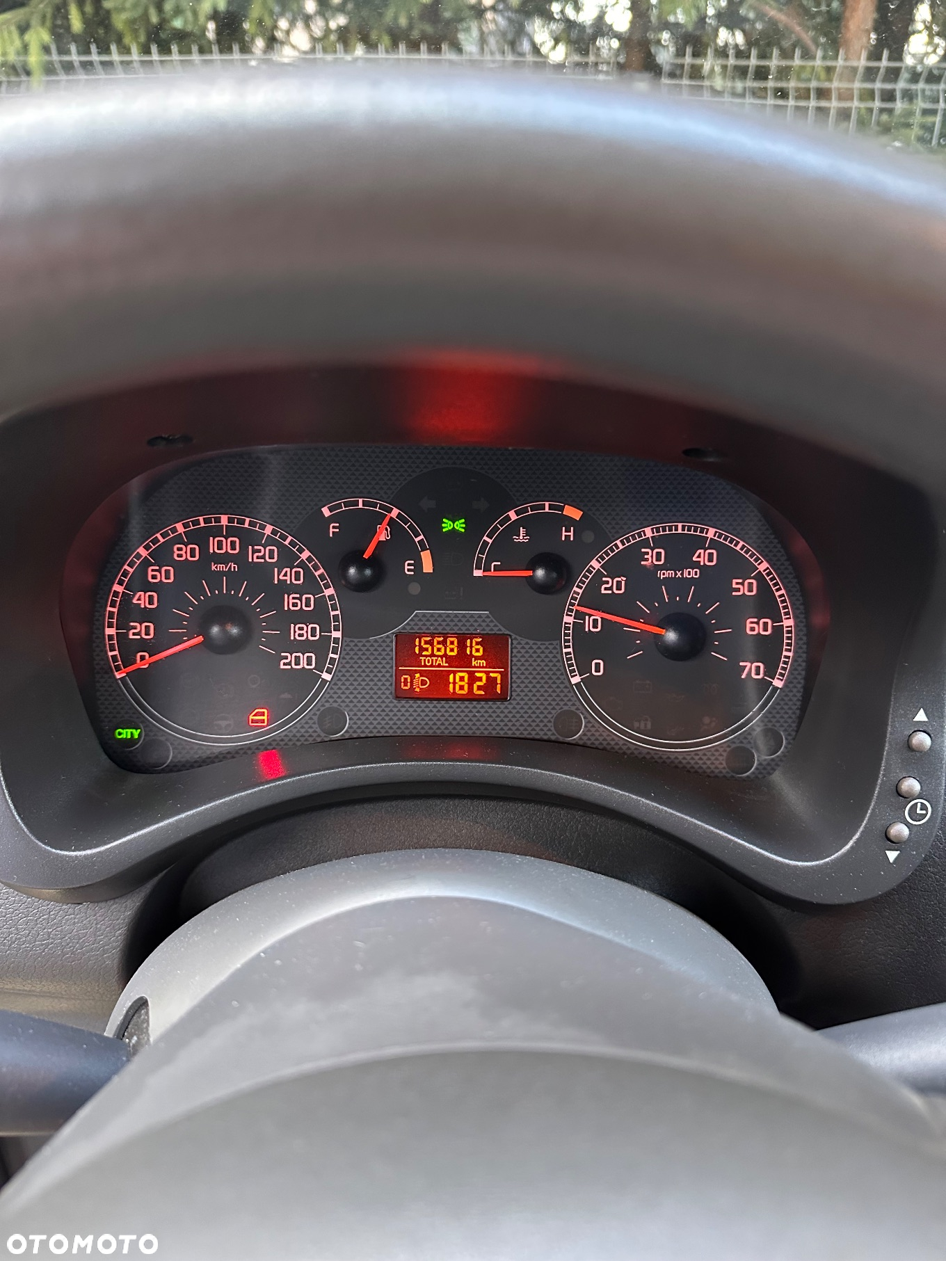 Fiat Panda 1.2 4x4 Climbing - 10