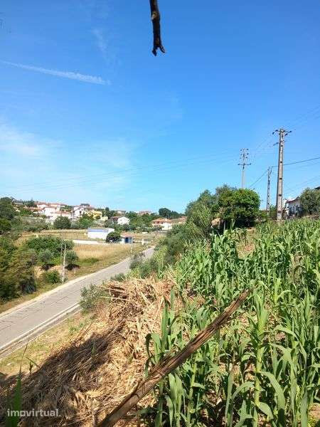 Vendo terreno urbano 1300m2 Trouxemil - Grande imagem: 4/5