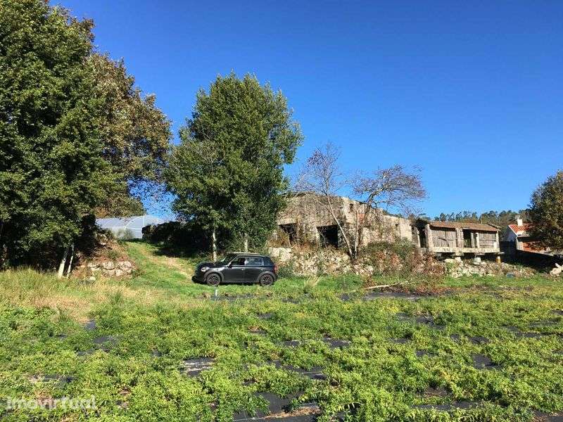 Quinta Paradisíaca ! - Grande imagem: 4/12