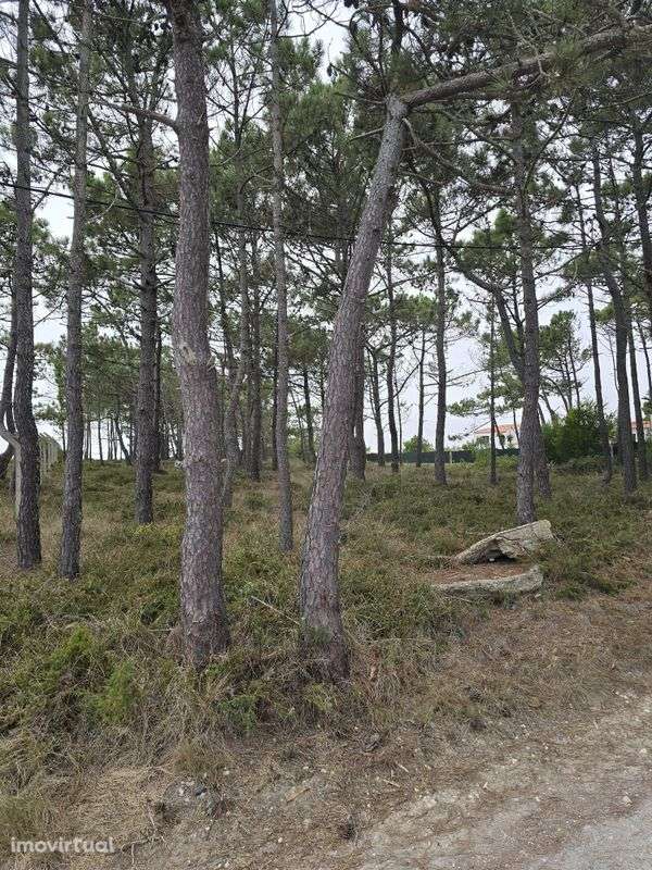 Terreno  para venda - Grande imagem: 5/9