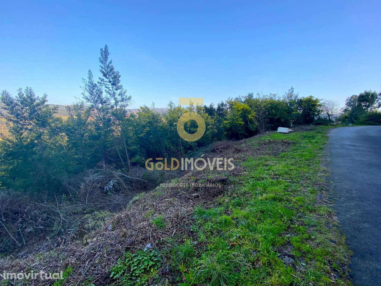 Terreno Florestal - Grande imagem: 4/6