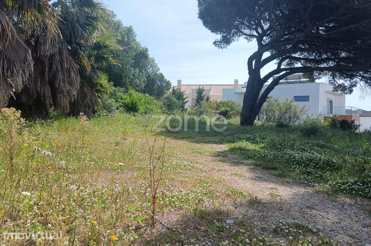 PIP Aprovado - Terreno com 1012 m2 no Estoril - Grande imagem: 5/15