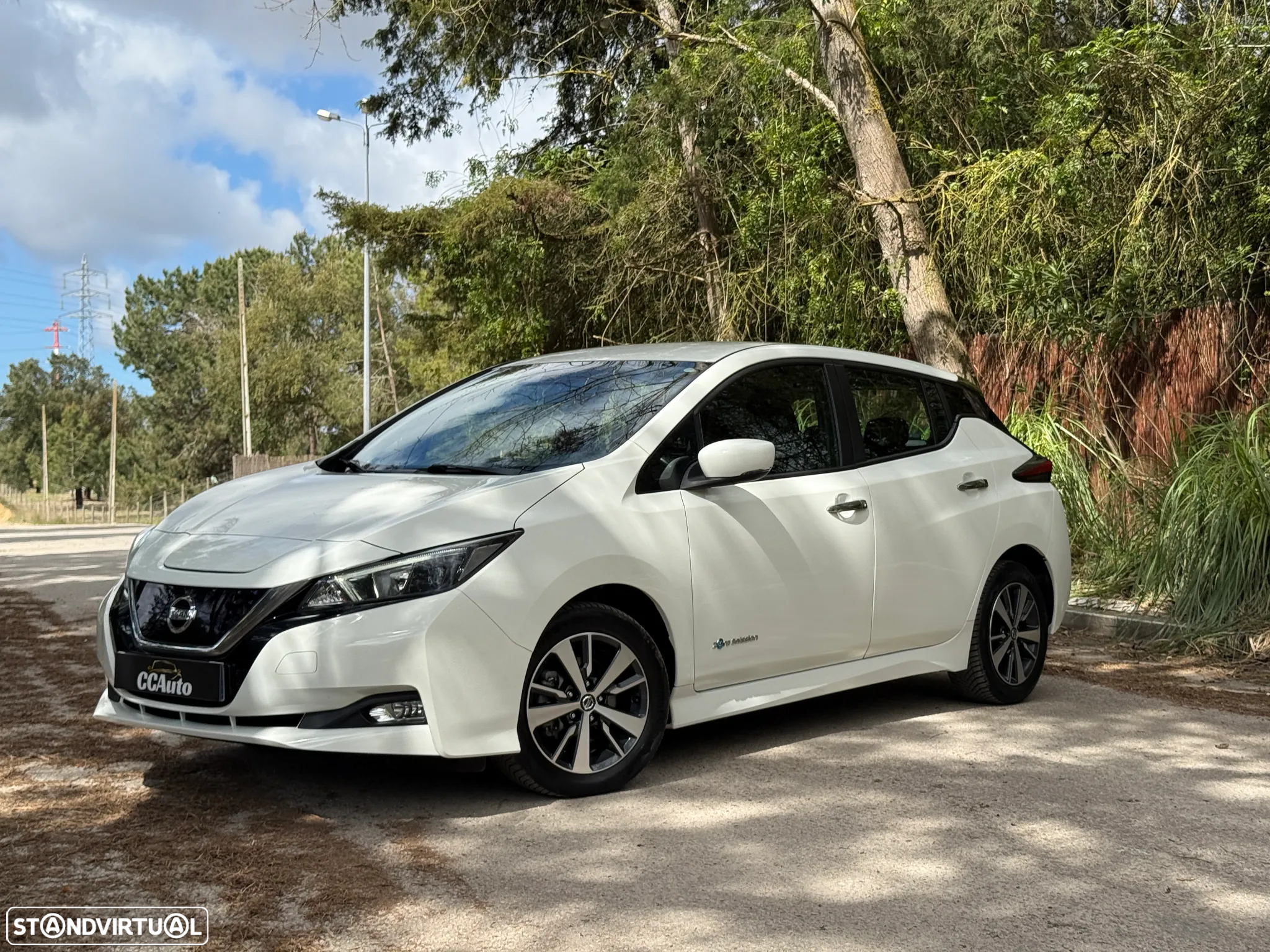 Nissan Leaf Acenta - 4