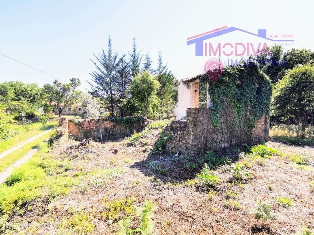 Casa de campo T1 para reconstrução na freguesia da Graça - Grande imagem: 3/10